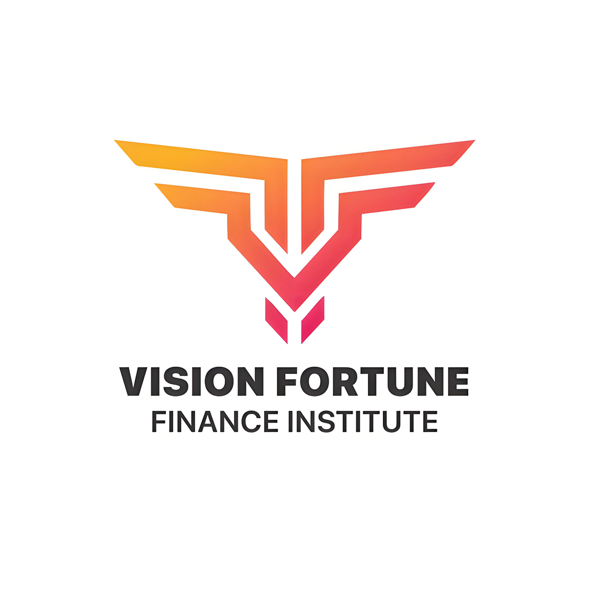 Vision Fortune Finance Institute Overview